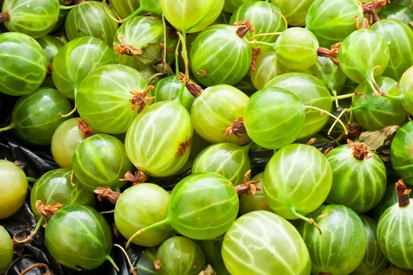 Bacche di uva spina — Foto Stock