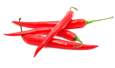 Hot chili biber