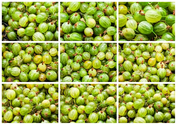 Gooseberries — Stock Photo, Image