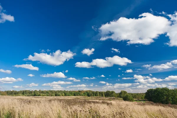 Campo autunnale — Foto Stock