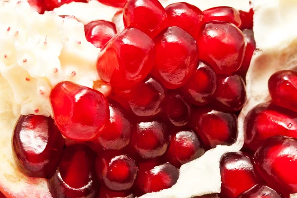 Pomegranate — Stock Photo, Image