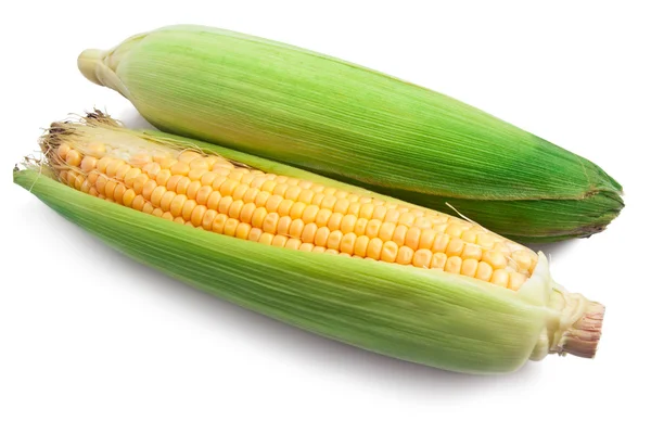 Corn — Stock Photo, Image