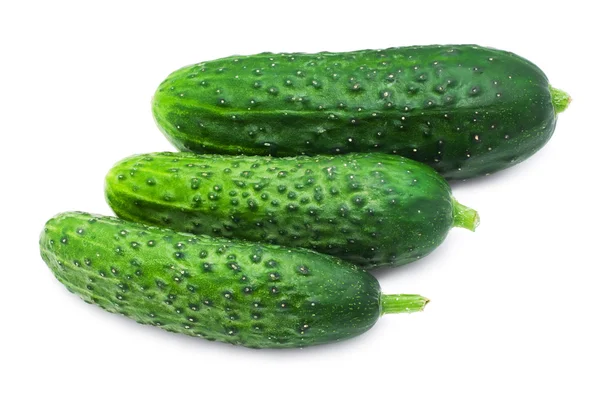 Fresh cucumber — Stock Photo, Image