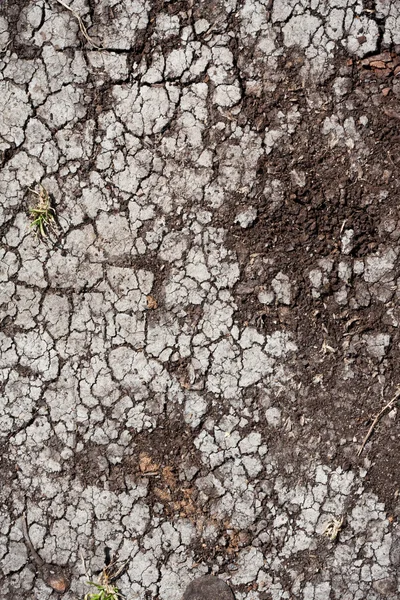 Tierra seca — Foto de Stock