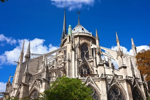 Notre dame de Paris — Stok fotoğraf