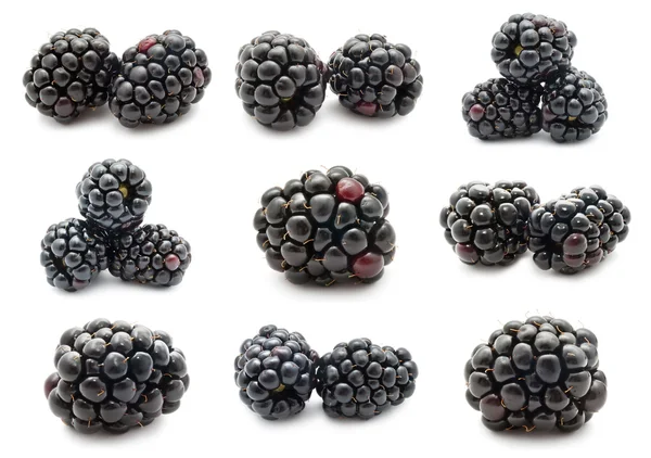 Blackberry — Stock Photo, Image