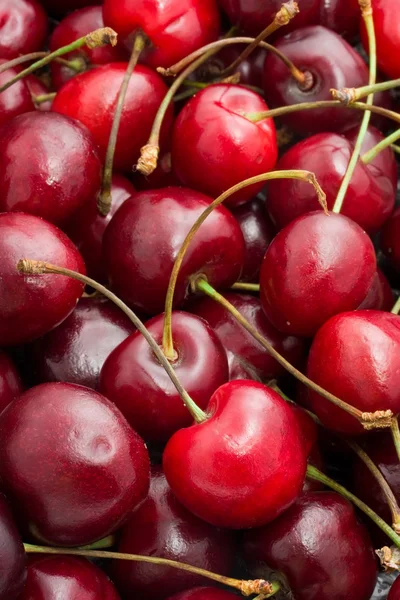 Červené cherry — Stock fotografie