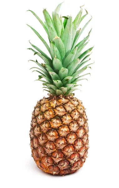 Ananas — Zdjęcie stockowe