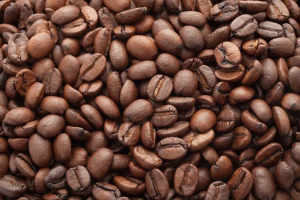 Coffee beans — Stock Photo, Image