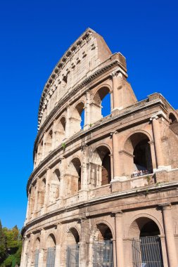 Roma 'da kolezyum