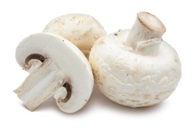champignon mantarları
