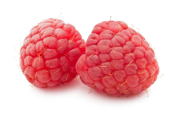 Frische Himbeeren — Stockfoto