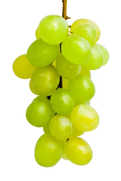 Uvas — Fotografia de Stock