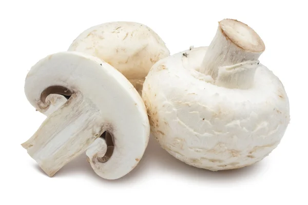 Cogumelos de champignon — Fotografia de Stock