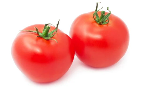 Tomaten — Stockfoto