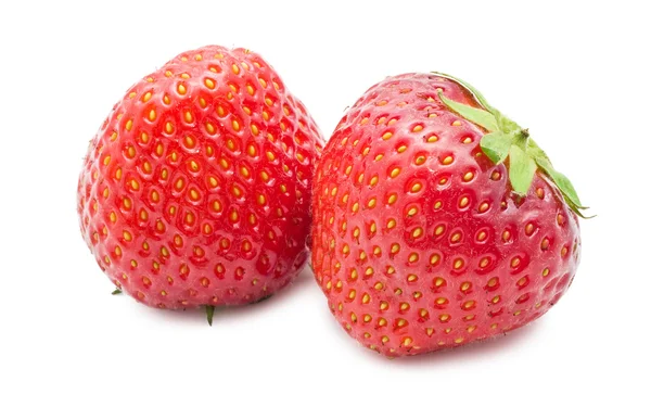 Erdbeeren — Stockfoto