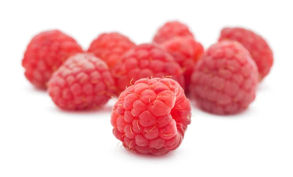 Frische Himbeeren — Stockfoto