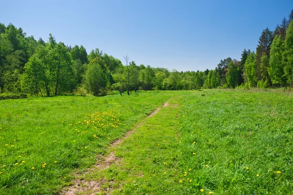 Zomer landschap — Stockfoto