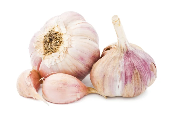 Garlic — Stock Photo, Image