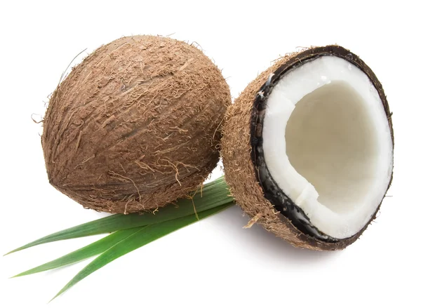 Noci di cocco — Foto Stock