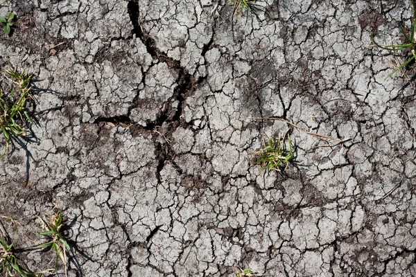 Tierra seca — Foto de Stock