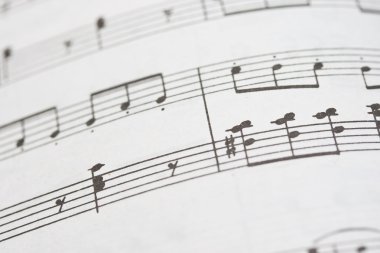 müzik notaları