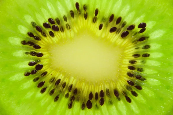 Kiwi — Zdjęcie stockowe