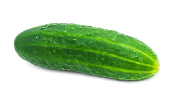 Fresh cucumber — Stock Photo, Image