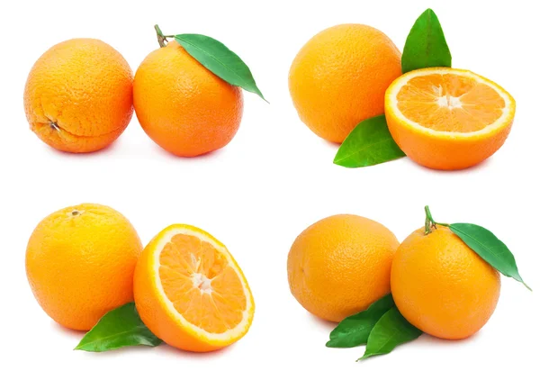 Orangen — Stockfoto