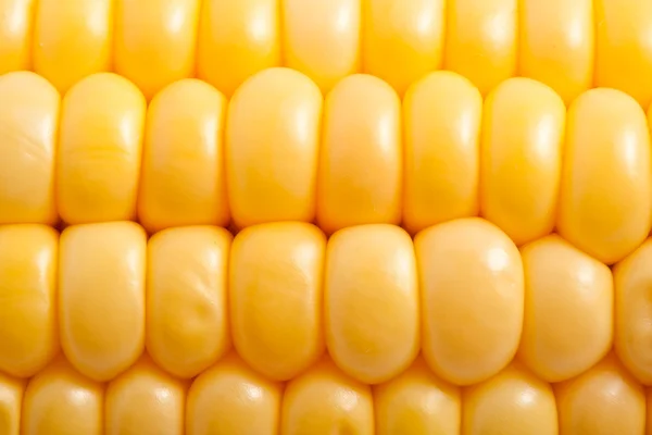 Corn — Stock Photo, Image