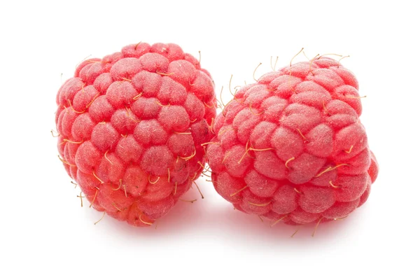 Frische Himbeeren — Stockfoto