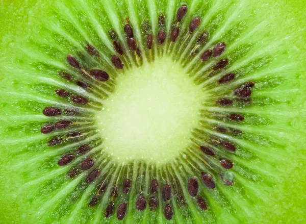 Kiwi — Zdjęcie stockowe