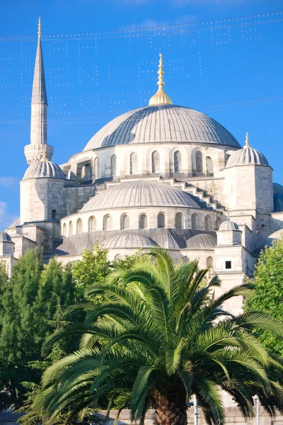 Mesquita azul — Fotografia de Stock