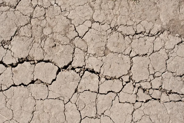 Tierra seca — Foto de Stock