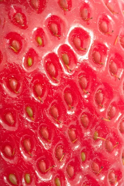 Strawberry — Stock Photo, Image