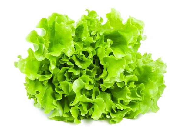 Kopfsalat — Stockfoto