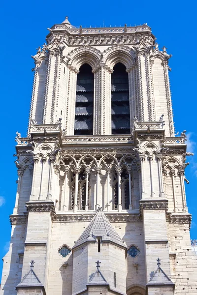 Notre dame de Paris — Stok fotoğraf