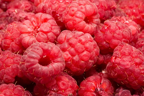 Himbeeren — Stockfoto