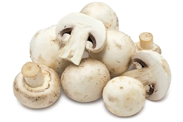 Champignon-Pilze — Stockfoto