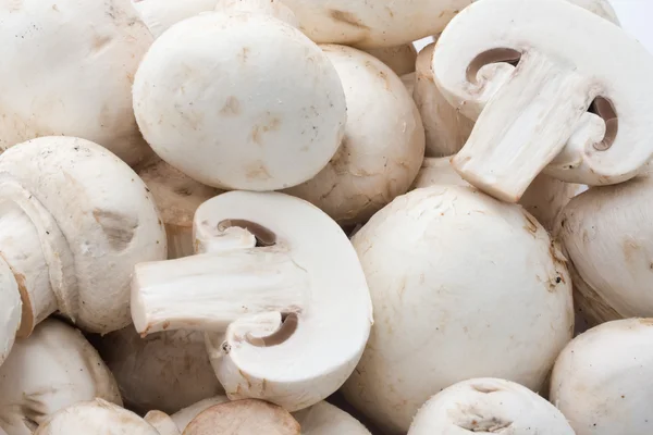 Champignons Champignon — Photo