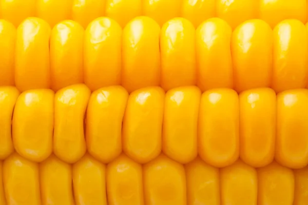 Corn — Stock Photo, Image