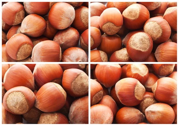 Hazelnuts — Stock Photo, Image