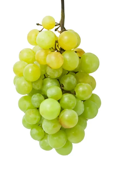 Uvas — Fotografia de Stock