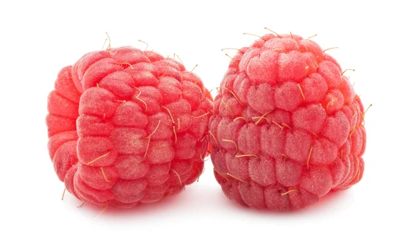 Fresh raspberries — Stock Photo, Image