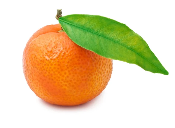 Tangerine — Stock Photo, Image