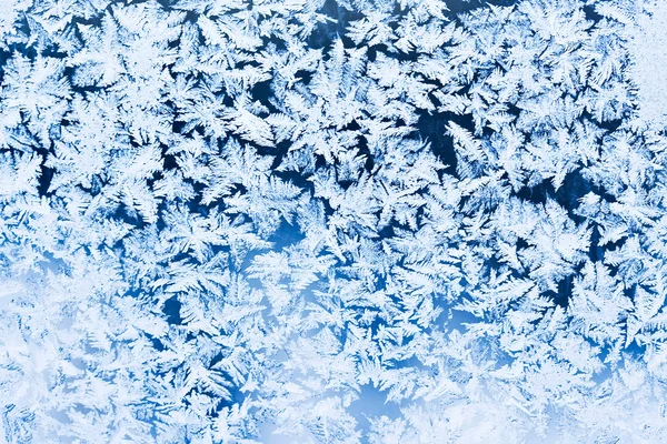 Frost pattern — Stock Photo, Image