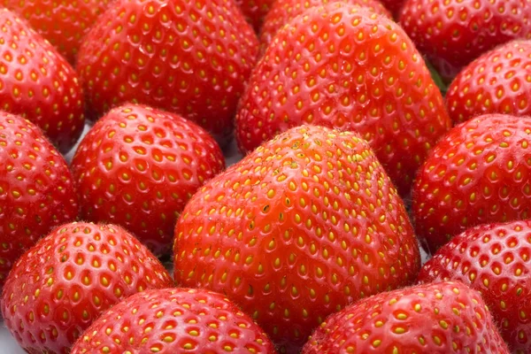 Erdbeeren — Stockfoto