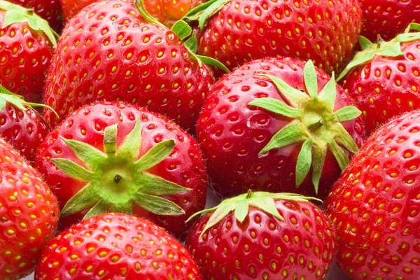 Erdbeeren — Stockfoto