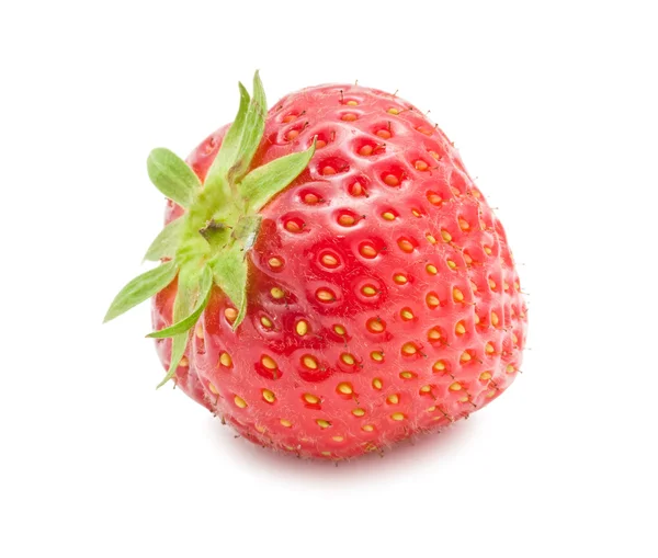 Fragola — Foto Stock