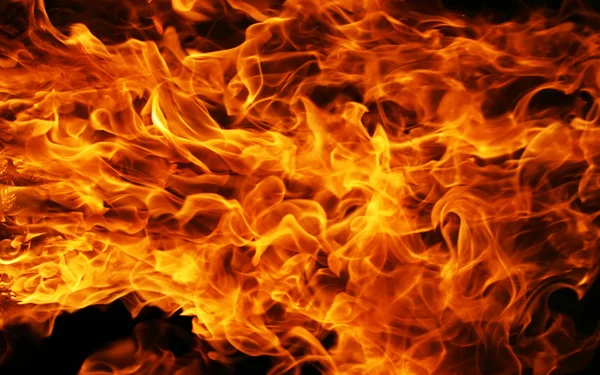 Fire — Stock Photo, Image